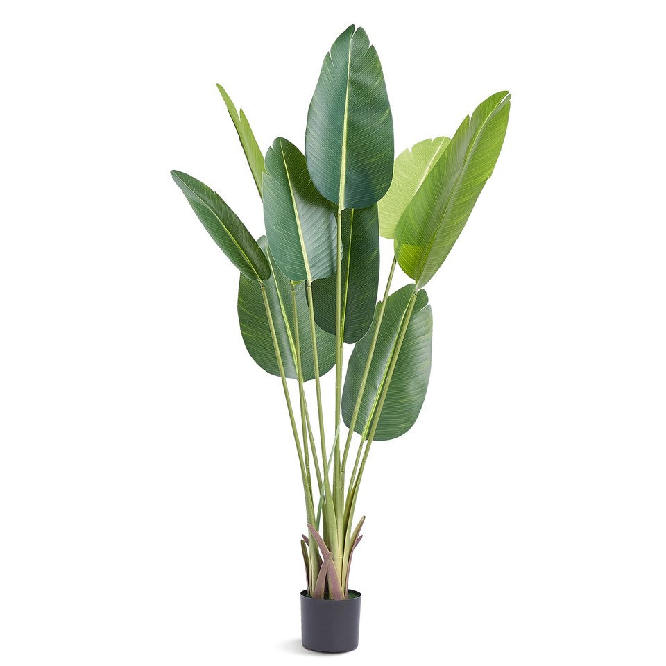 Uimoso Bird Of Paradise 5ft Tall Fake Palm Tree Artificial Faux Silk Plant Pot